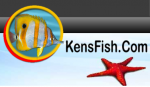 Kensfish Discount Code