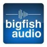 Big Fish Audio Coupons